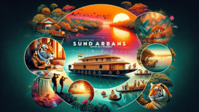sundarban tour,sundarban travels,sundarban tour package,sundarban tour operator,sundarban trip