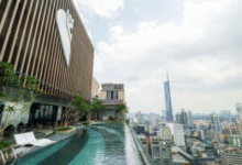 book sleeping lion suites