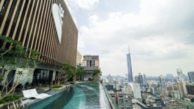 book sleeping lion suites