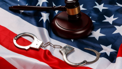 Immigration Habeas Corpus Attorney