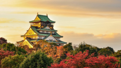 Japan travel deals Traveloka